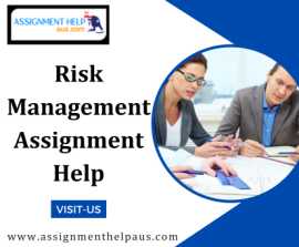 Online Risk Management Assignment Help by expert, Sydney