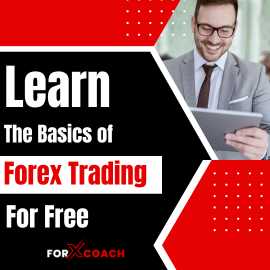 Learn The Basics of Forex Trading For Free, Mandi