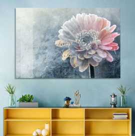 Decorate Your Home with the Top Winter Flowers, Dallas