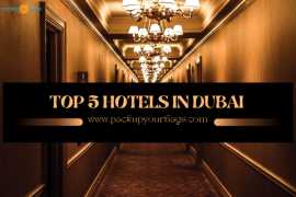 Reasonable Top 5 Hotels in Dubai, Dubai