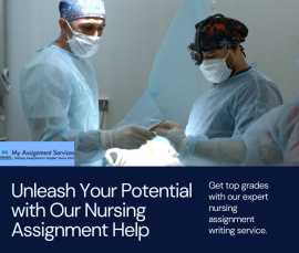 Unleash Success With Nursing Assignment Help!, Perth
