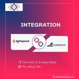 Integrate Bigcommerce and Lightspeed , New York
