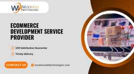 Professional ECommerce Development Service , Kolkata