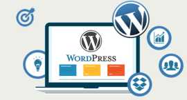 Find the Best Custom WordPress Development Company, Delhi