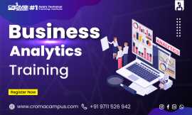 Business Analytics Certification Program, Noida