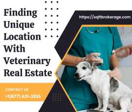 Finding Unique Location With Real Estate, New York