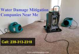 Water Damage Mitigation Companies Near Me, Cape Coral
