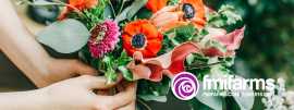 Order wholesale flowers online from - FMI, Miami