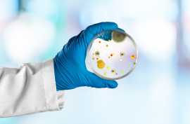  Mold Inspection Services by Funguy Inspections, Los Angeles
