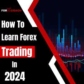 How To Learn Forex Trading in 2024, Mandi