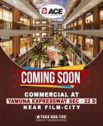Invest In Success With ACE Yamuna Expressway, Noida