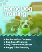 Best Dog Training Service at Home in Bangalore, Bengaluru