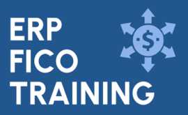 ERP SAP FICO Training in Noida, Noida