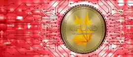 Empower Transactions: The Dynamics of DLT Platform, Wilmington