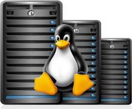 Premium Web Hosting Provider- Skytri Web Solution, Patna