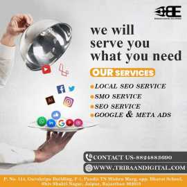 Tribaan Digital solutions - Best Digital Marketing, Jaipur