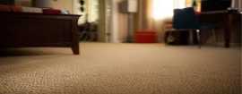 DISCOVER QUALITY FLOORING AT OUR DENVER STORE, $ 20
