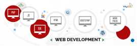 choose Right web development company for your busi, Coimbatore