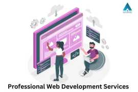 Professional Web Development Services, Lucknow