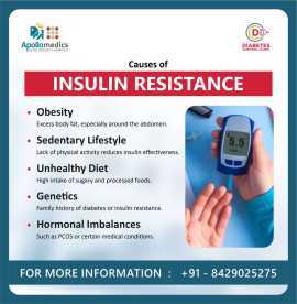 Causes of Insulin Resistance | Dr. Mayank Somani, Lucknow
