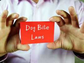 No-Fee Unless You Win for Dog Bite Cases, Oxnard