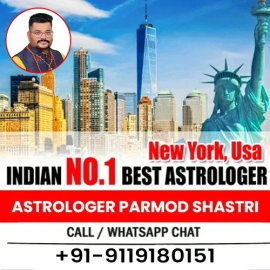 Best Indian Astrologer in New York Usa, Jaipur
