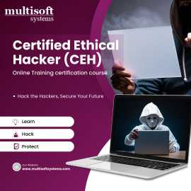 Certified Ethical Hacker (CEH) Online Training, Noida