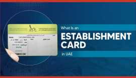 What is an Establishment Card in UAE?, Dubai