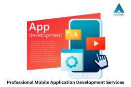 Professional Mobile Application Development, Lucknow