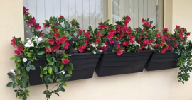 Restyle Your Space with Native Fake Plants, Braeside