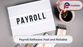 An Easy Guide to Payroll Software for businesses!, Mississauga