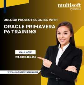 Oracle Primavera P6 Project Management Training, Noida