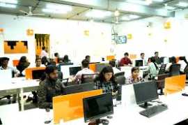 Creative Website Design Services Bilaspur, Chandigarh