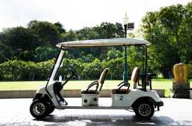 Explore the Best Electric Vehicle in Karnataka for, Delhi