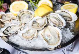 Best Fresh Oyster Seafood in Dubai | Luxury Food, Dubai