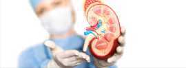 Best Nephrologists In Bangalore - Nephrology Hospi, Bengaluru