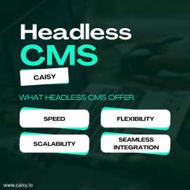 Discover the Best Headless CMS: Caisy Headless CMS, Stuttgart
