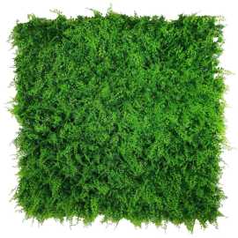 Breathe Life Into Your Space with Artificial Green, Braeside