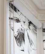 Best Window Blinds in Hyderabad, Hyderabad