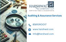 Reliable Auditing and Assurance Services, San Diego