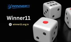 Winner11: Play, Win, and Dominate the Game, Mumbai