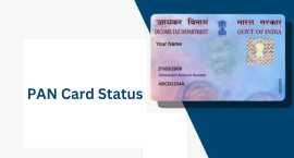 Easy Guide to Track PAN Card Status Anytime, New Delhi