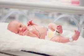 Noble Hospitals: Pune’s  Destination for Expert Ne, Pune