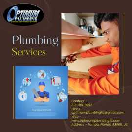 Trusted Plumbing Companies in Tampa for All Your N, Tampa