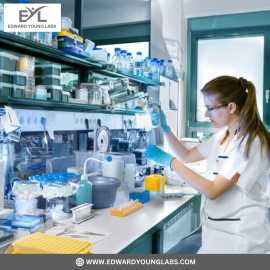 Pharma Franchise Company Chandigarh | Edward Young, Chandigarh
