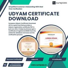 Download Your Udyam Certificate with Surepass API, Delhi