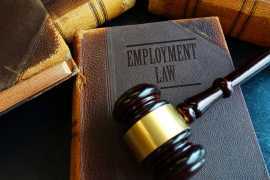 Expert Employment Legal Services in Woodland Hills, Woodland Hills