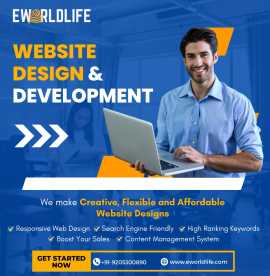 Professional Website Development Services, Delhi