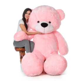 Large Pink Bear Collection | Giant Teddy, ps 308