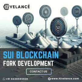 Get Your SUI Blockchain Forking Service , San Francisco